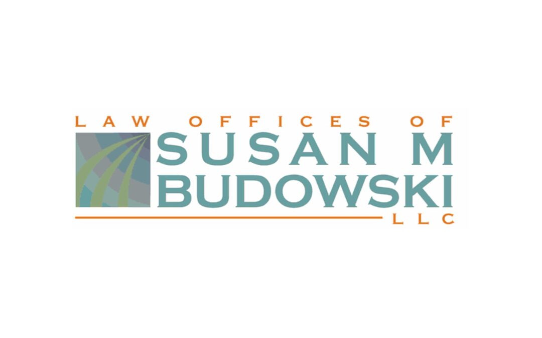 The Law Offices of Susan M. Budowski Review
