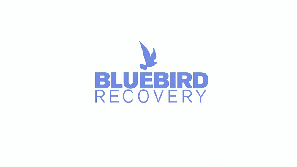 BlueBird Recovery Review